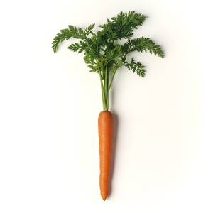 <p>EN VITAMINE A</p><p>(800 µG)</p>
